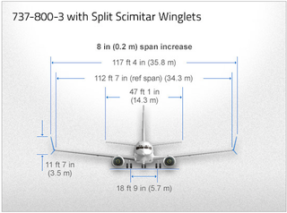 Illustration for article titled How These Simple Scimitar Winglets Make the 737 a Whole New Plane